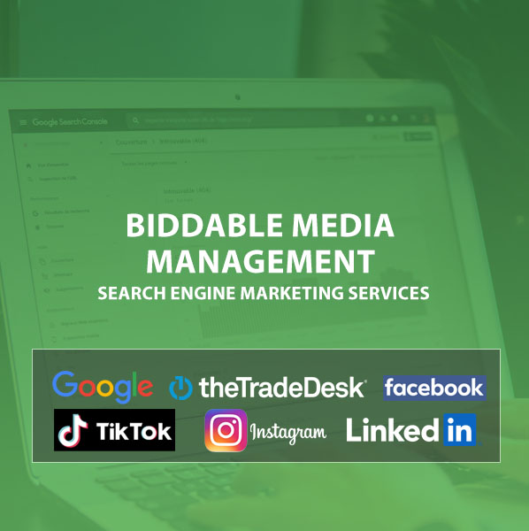 Biddable Media v3